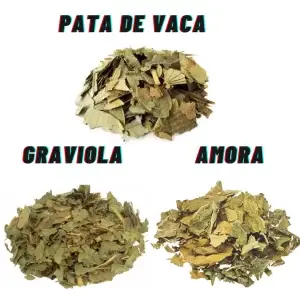 Kit Glicose alta