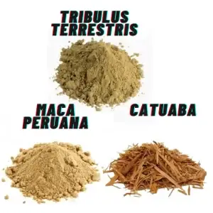 Kit Libido